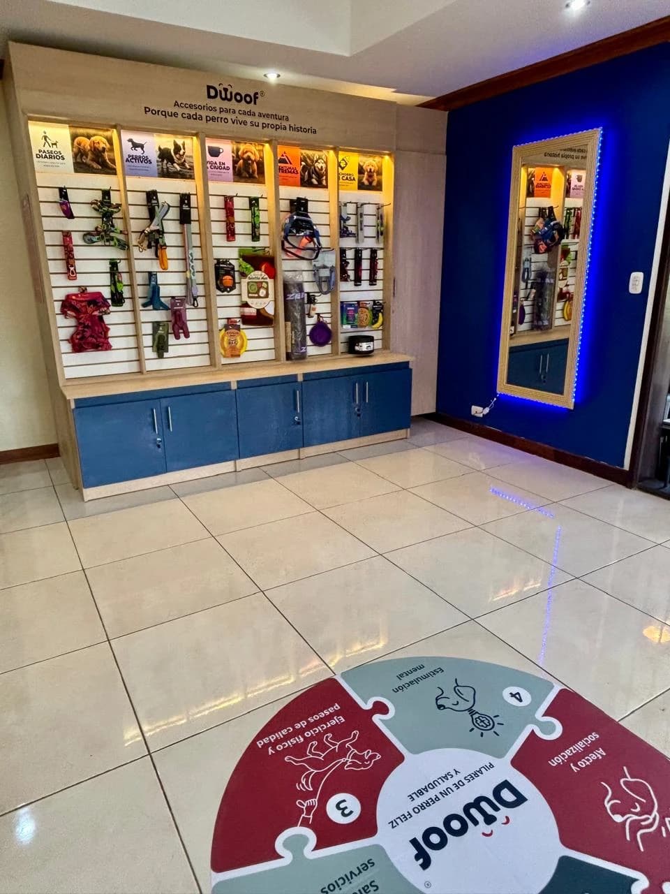 Accesorios para perros en la tienda de Dwoof