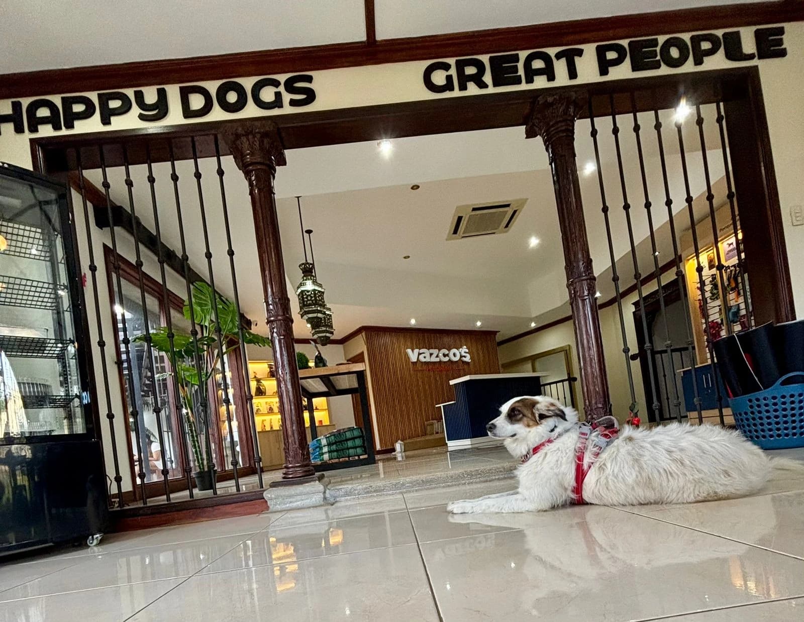 Personas y perros compartiendo mesa en Dwoof Coffee Experience