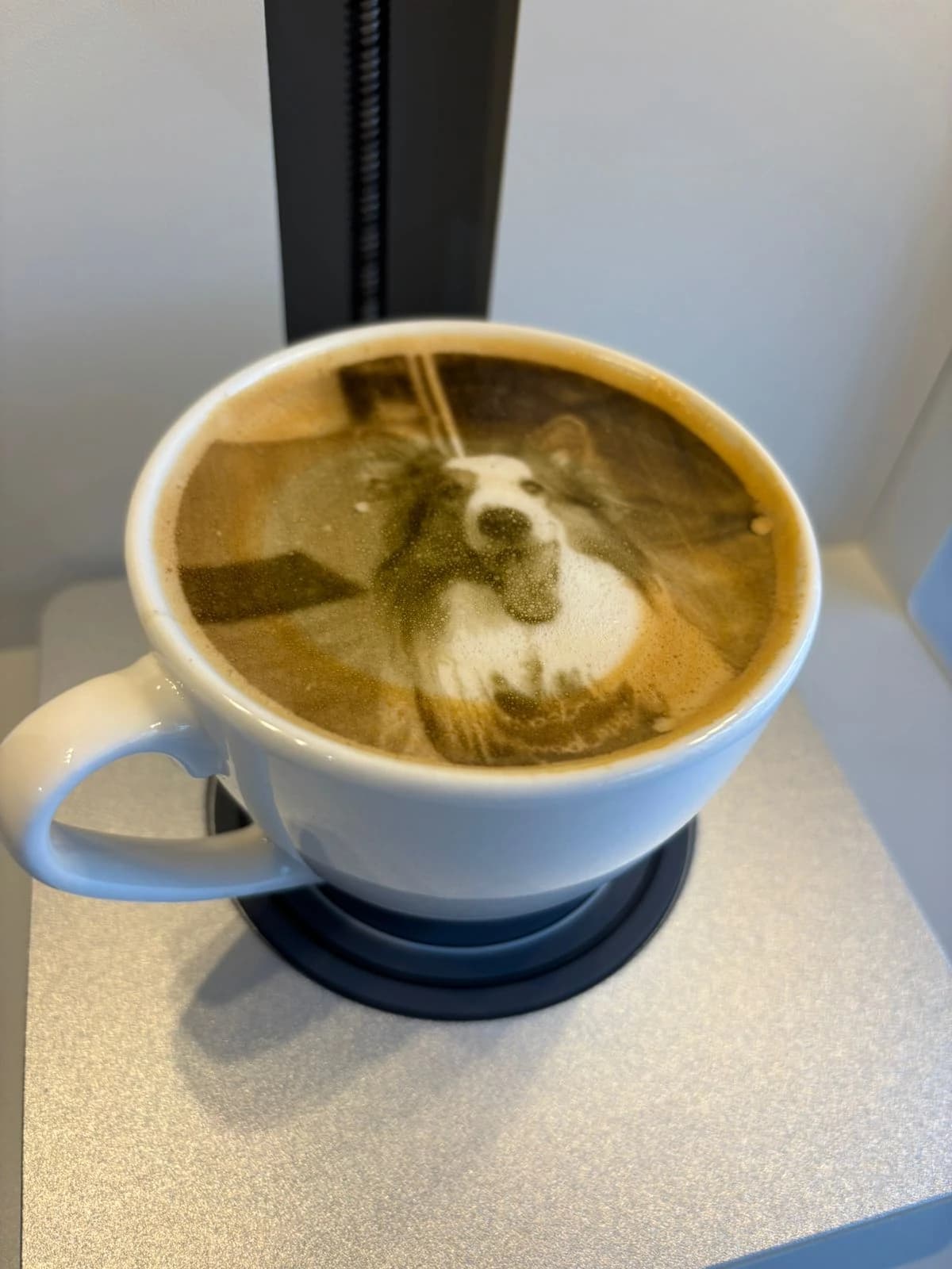 Café con la cara de un perro impresa en tinta comestible